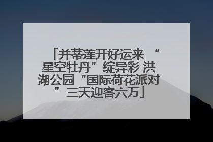 并蒂莲开好运来 “星空牡丹”绽异彩 洪湖公园“国际荷花派对”三天迎客六万