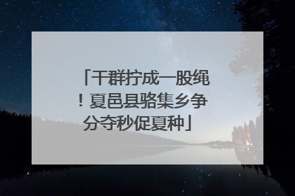 干群拧成一股绳！夏邑县骆集乡争分夺秒促夏种