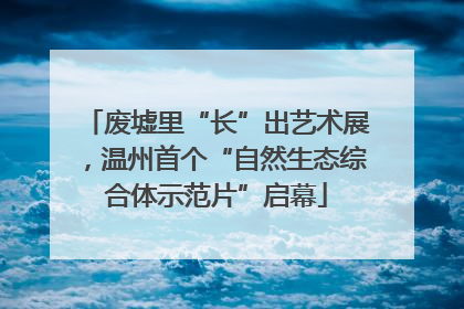 废墟里“长”出艺术展，温州首个“自然生态综合体示范片”启幕