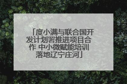 度小满与联合国开发计划署推进项目合作 中小微赋能培训落地辽宁庄河