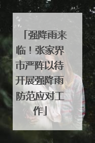 强降雨来临！张家界市严阵以待开展强降雨防范应对工作