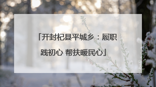 开封杞县平城乡：履职践初心 帮扶暖民心