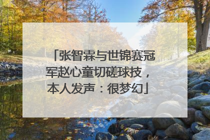 张智霖与世锦赛冠军赵心童切磋球技，本人发声：很梦幻