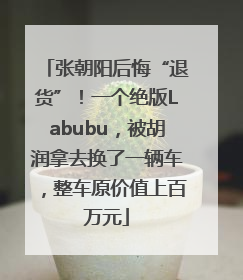 张朝阳后悔“退货”！一个绝版Labubu，被胡润拿去换了一辆车，整车原价值上百万元