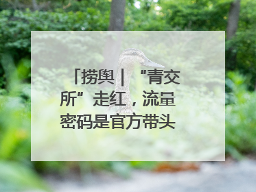 捞舆｜“青交所”走红，流量密码是官方带头“玩起来”