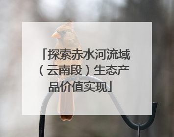 探索赤水河流域（云南段）生态产品价值实现