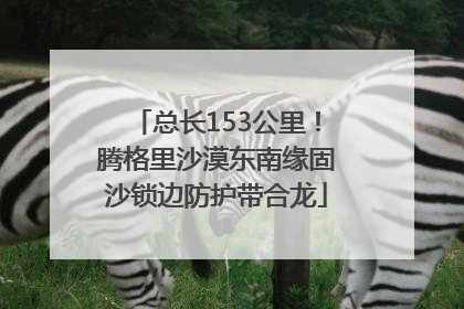 总长153公里！腾格里沙漠东南缘固沙锁边防护带合龙