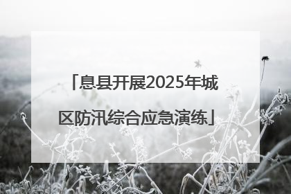 息县开展2025年城区防汛综合应急演练