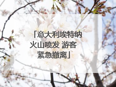 意大利埃特纳火山喷发 游客紧急撤离