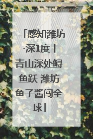 感知潍坊·深1度丨青山深处鲟鱼跃 潍坊鱼子酱闯全球