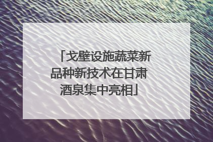 戈壁设施蔬菜新品种新技术在甘肃酒泉集中亮相