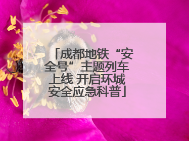 成都地铁“安全号”主题列车上线 开启环城安全应急科普