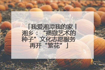我爱湘潭我的家丨湘乡：“播撒艺术的种子”文化志愿服务再开“繁花”