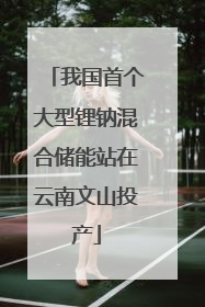 我国首个大型锂钠混合储能站在云南文山投产