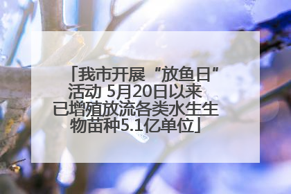 我市开展“放鱼日”活动 5月20日以来已增殖放流各类水生生物苗种5.1亿单位