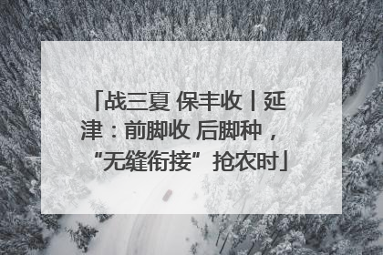 战三夏 保丰收丨延津：前脚收 后脚种，“无缝衔接”抢农时