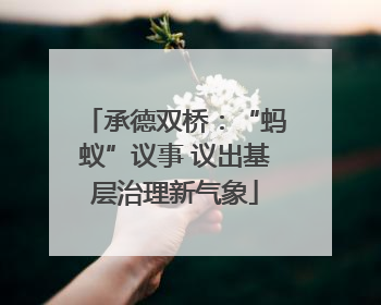 承德双桥：“蚂蚁”议事 议出基层治理新气象