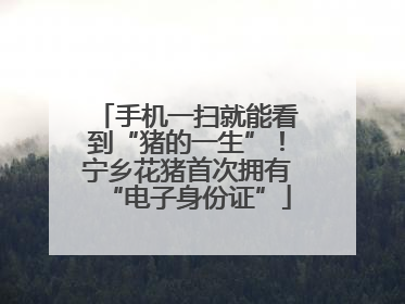 手机一扫就能看到“猪的一生”！宁乡花猪首次拥有“电子身份证”