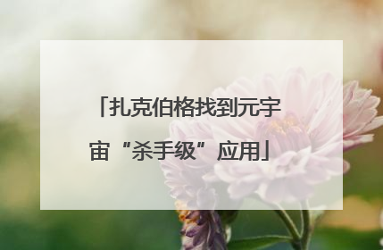 扎克伯格找到元宇宙“杀手级”应用
