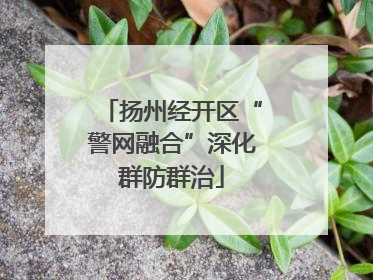 扬州经开区“警网融合”深化群防群治