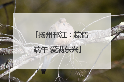 扬州邗江：粽情端午 爱满东兴