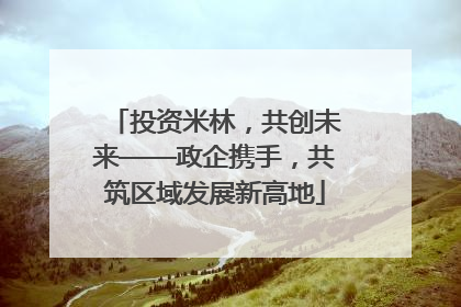 投资米林，共创未来——政企携手，共筑区域发展新高地