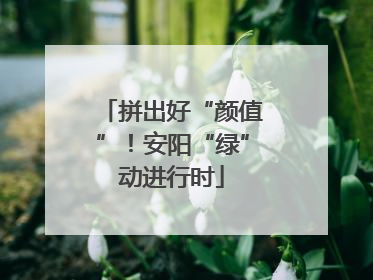 拼出好“颜值”！安阳“绿”动进行时