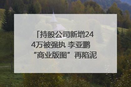 持股公司新增244万被强执 李亚鹏“商业版图”再陷泥潭？｜科技观察