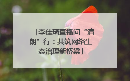 李佳琦直播间“清朗”行：共筑网络生态治理新桥梁