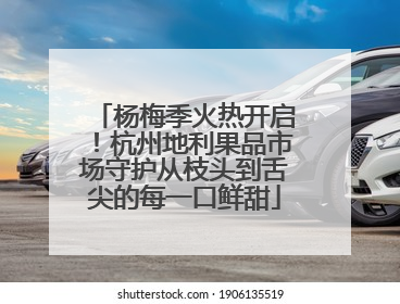杨梅季火热开启！杭州地利果品市场守护从枝头到舌尖的每一口鲜甜