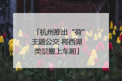 杭州推出“荷”主题公交 将西湖美景搬上车厢