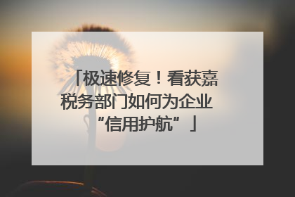 极速修复！看获嘉税务部门如何为企业“信用护航”