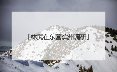 林武在东营滨州调研