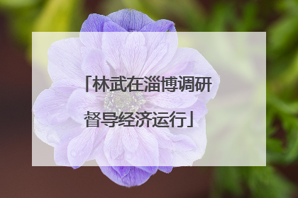 林武在淄博调研督导经济运行