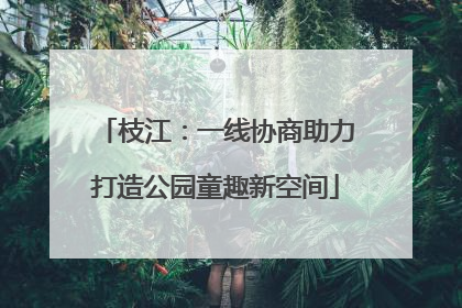 枝江：一线协商助力打造公园童趣新空间