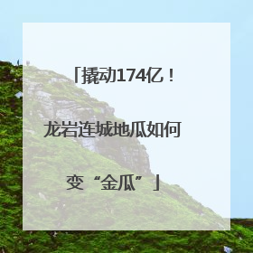 撬动174亿！龙岩连城地瓜如何变“金瓜”
