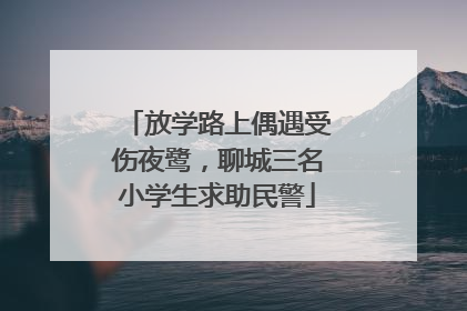 放学路上偶遇受伤夜鹭，聊城三名小学生求助民警