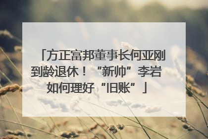 方正富邦董事长何亚刚到龄退休！“新帅”李岩如何理好“旧账”