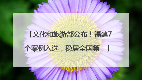 文化和旅游部公布！福建7个案例入选，稳居全国第一