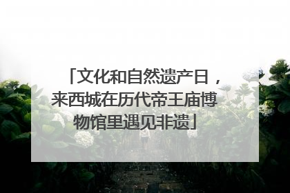 文化和自然遗产日，来西城在历代帝王庙博物馆里遇见非遗