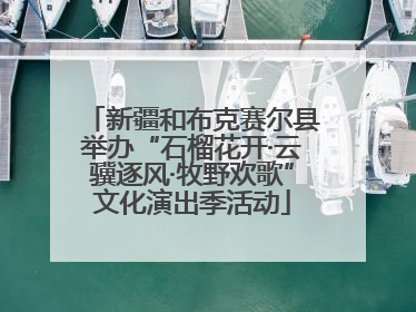 新疆和布克赛尔县举办“石榴花开·云骥逐风·牧野欢歌”文化演出季活动
