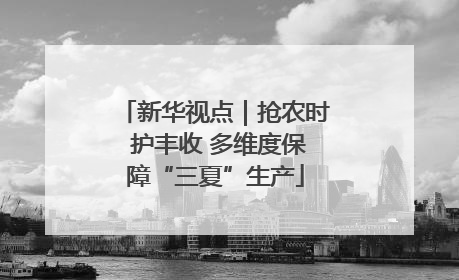 新华视点｜抢农时 护丰收 多维度保障“三夏”生产