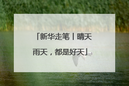新华走笔丨晴天雨天，都是好天