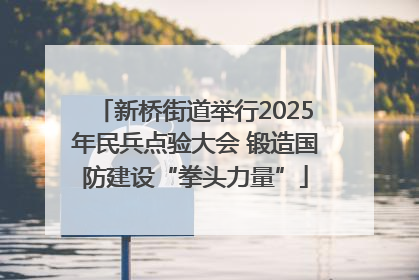 新桥街道举行2025年民兵点验大会 锻造国防建设“拳头力量”