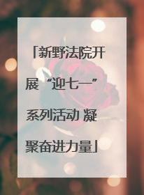新野法院开展“迎七一”系列活动 凝聚奋进力量