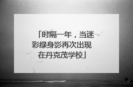 时隔一年，当迷彩绿身影再次出现在丹克茂学校