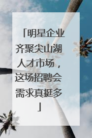 明星企业齐聚尖山湖人才市场，这场招聘会需求真挺多
