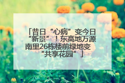 昔日“心病”变今日“新景”！东高地万源南里26栋楼前绿地变“共享花园”