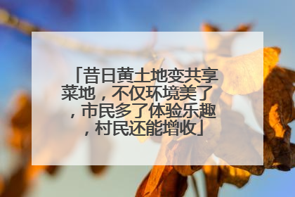 昔日黄土地变共享菜地，不仅环境美了，市民多了体验乐趣，村民还能增收