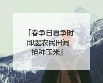 春争日夏争时 即墨农民田间抢种玉米
